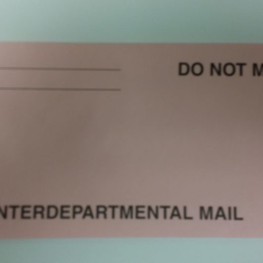 Pink Interdepartmental Envelope-0